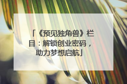 《预见独角兽》栏目：解锁创业密码，助力梦想启航