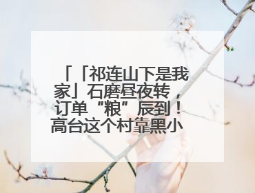 「祁连山下是我家」石磨昼夜转，订单“粮”辰到！高台这个村靠黑小麦面粉拿下成立来最大订单