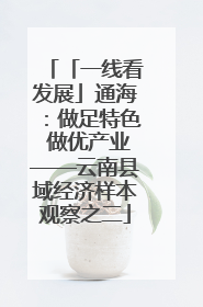 「一线看发展」通海：做足特色 做优产业——云南县域经济样本观察之二