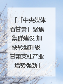 「中央媒体看甘肃」聚焦集群建设 加快转型升级 甘肃支柱产业增势强劲