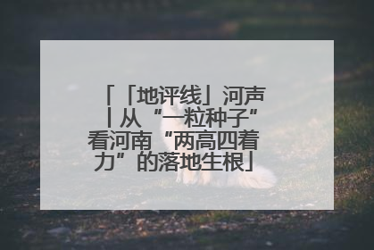 「地评线」河声丨从“一粒种子”看河南“两高四着力”的落地生根