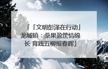 「文明彭泽在行动」龙城镇：桑果盈筐情绵长 育践五柳报春晖