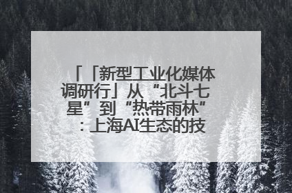 「新型工业化媒体调研行」从“北斗七星”到“热带雨林”：上海AI生态的技术商业共生密码