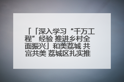 「深入学习“千万工程”经验 推进乡村全面振兴」和美荔城 共富共美 荔城区扎实推进乡村振兴工作