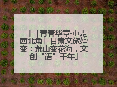 「青春华章·重走西北角」甘肃文旅嬗变：荒山变花海，文创“语”千年