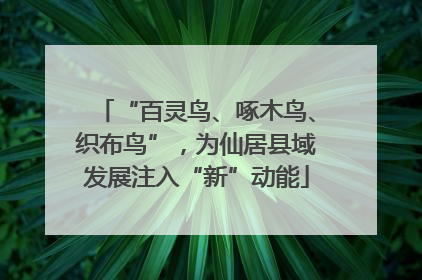 “百灵鸟、啄木鸟、织布鸟”，为仙居县域发展注入“新”动能