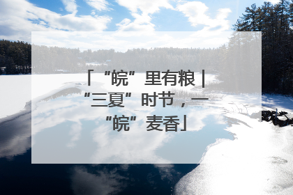 “皖”里有粮｜“三夏”时节，一“皖”麦香