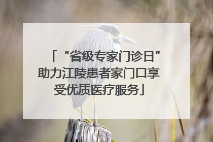 “省级专家门诊日”助力江陵患者家门口享受优质医疗服务