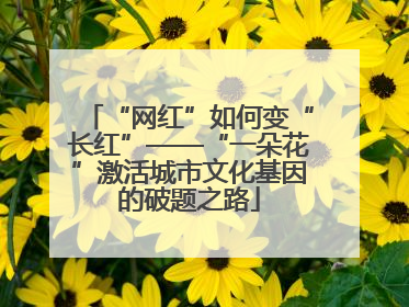 “网红”如何变“长红”——“一朵花”激活城市文化基因的破题之路