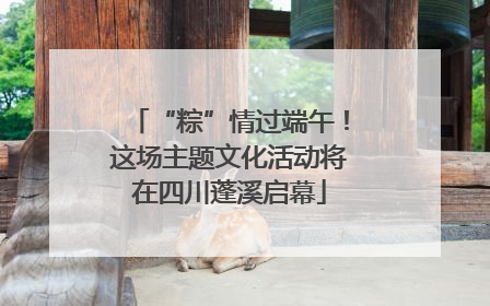 “粽”情过端午！这场主题文化活动将在四川蓬溪启幕