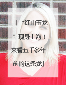 “红山玉龙”现身上海！来看五千多年前的这条龙