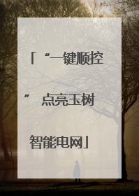 “一键顺控” 点亮玉树智能电网