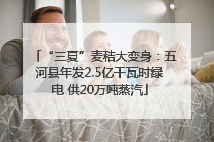“三夏”麦秸大变身：五河县年发2.5亿千瓦时绿电 供20万吨蒸汽