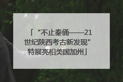 “不止秦俑——21世纪陕西考古新发现”特展亮相美国加州