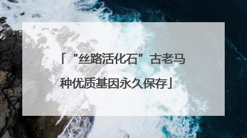 “丝路活化石”古老马种优质基因永久保存