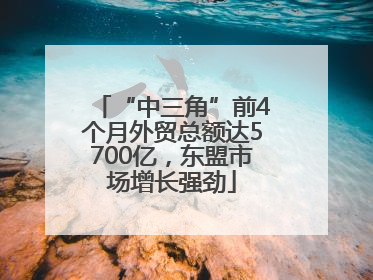 “中三角”前4个月外贸总额达5700亿，东盟市场增长强劲