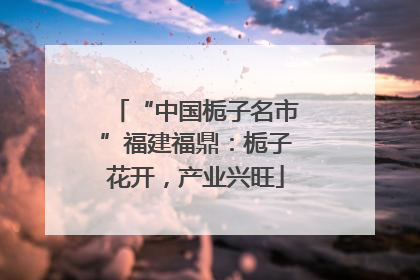 “中国栀子名市”福建福鼎：栀子花开，产业兴旺