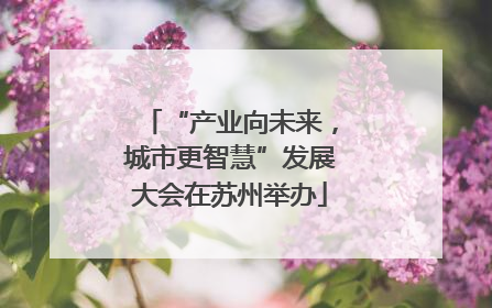 “产业向未来，城市更智慧”发展大会在苏州举办
