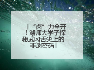 “卤”力全开！湖师大学子探秘武冈舌尖上的非遗密码