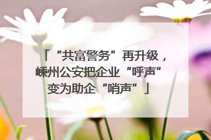 “共富警务”再升级，嵊州公安把企业“呼声”变为助企“哨声”