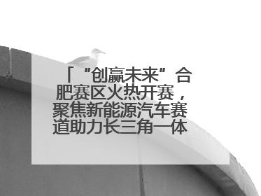 “创赢未来”合肥赛区火热开赛，聚焦新能源汽车赛道助力长三角一体化发展