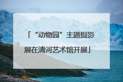 “动物园”主题摄影展在清河艺术馆开展