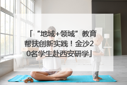 “地域+领域”教育帮扶创新实践！金沙20名学生赴西安研学