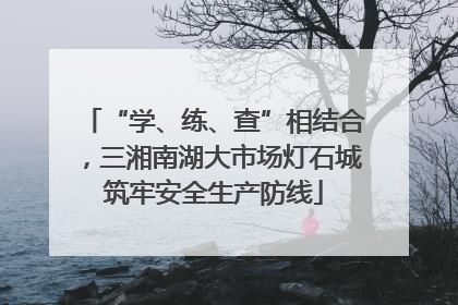 “学、练、查”相结合，三湘南湖大市场灯石城筑牢安全生产防线