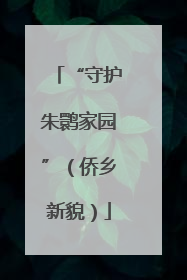 “守护朱鹮家园”（侨乡新貌）