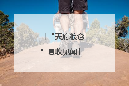 “天府粮仓”夏收见闻