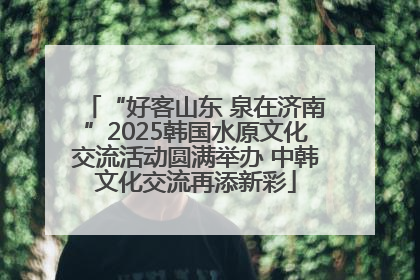 “好客山东 泉在济南”2025韩国水原文化交流活动圆满举办 中韩文化交流再添新彩
