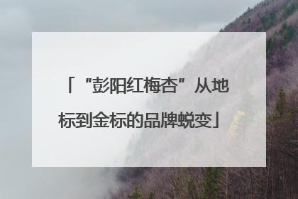 “彭阳红梅杏”从地标到金标的品牌蜕变