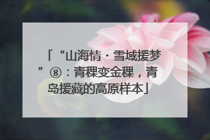 “山海情・雪域援梦”⑧：青稞变金稞，青岛援藏的高原样本