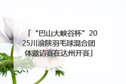 “巴山大峡谷杯”2025川渝陕羽毛球混合团体邀请赛在达州开赛