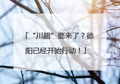 “川超”要来了？德阳已经开始行动！