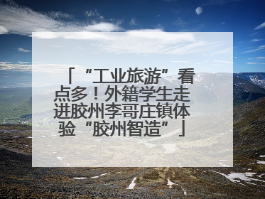 “工业旅游”看点多！外籍学生走进胶州李哥庄镇体验“胶州智造”
