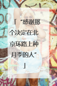 “感谢那个决定在北京环路上种月季的人”