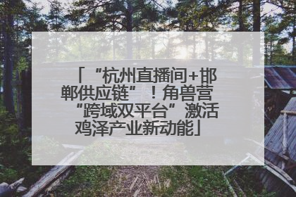 “杭州直播间+邯郸供应链”！角兽营“跨域双平台”激活鸡泽产业新动能