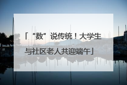 “数”说传统！大学生与社区老人共迎端午