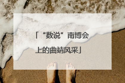 “数说”南博会上的曲靖风采