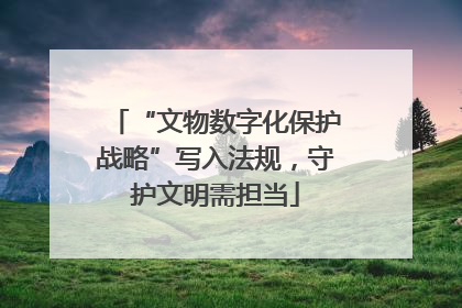 “文物数字化保护战略”写入法规，守护文明需担当