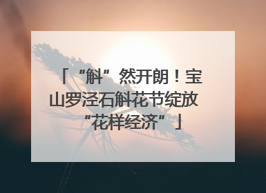 “斛”然开朗！宝山罗泾石斛花节绽放“花样经济”
