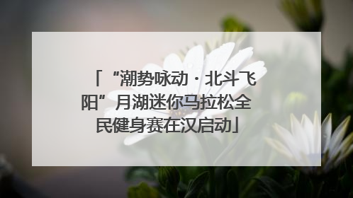 “潮势咏动・北斗飞阳”月湖迷你马拉松全民健身赛在汉启动