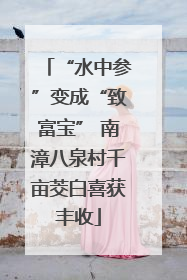 “水中参”变成“致富宝” 南漳八泉村千亩茭白喜获丰收