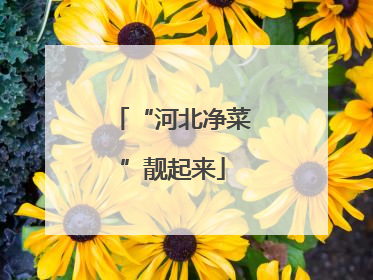 “河北净菜”靓起来