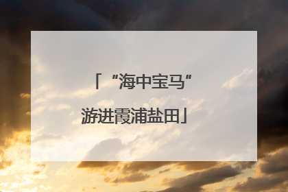 “海中宝马”游进霞浦盐田