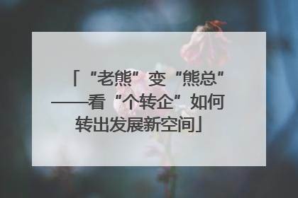 “老熊”变“熊总”——看“个转企”如何转出发展新空间