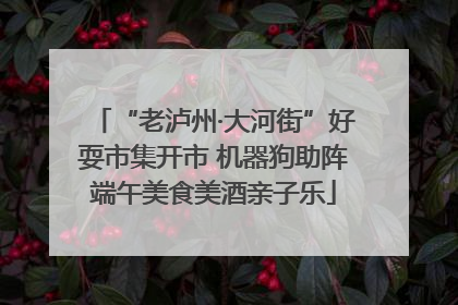 “老泸州·大河街”好耍市集开市 机器狗助阵端午美食美酒亲子乐