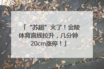 “苏超”火了！金陵体育直线拉升，几分钟20cm涨停！