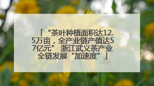 “茶叶种植面积达12.5万亩，全产业链产值达57亿元” 浙江武义茶产业全链发展“加速度”
